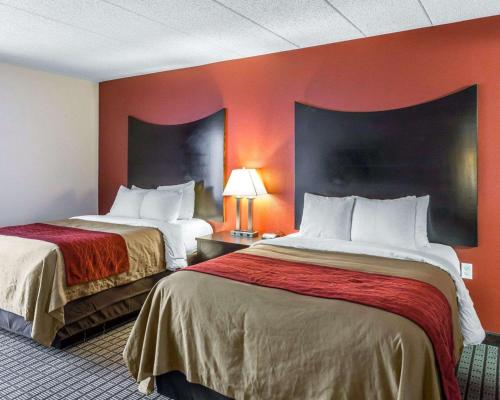 Comfort Inn & Suites Bwi Airport - image 2