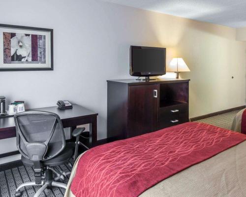 Comfort Inn & Suites Bwi Airport - image 5