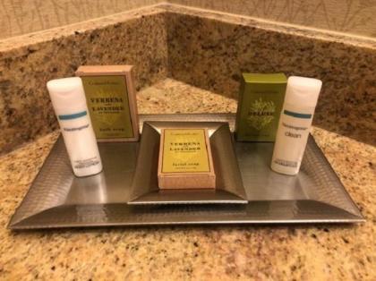 DoubleTree by Hilton Lisle Naperville - image 12