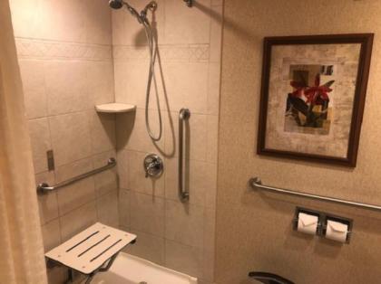 DoubleTree by Hilton Lisle Naperville - image 13