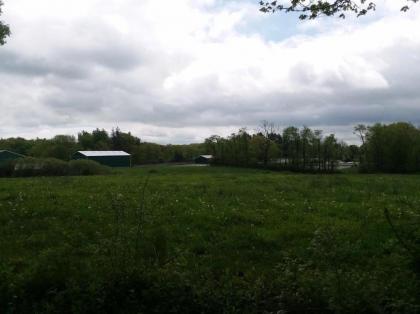 Tentrr - Meadow Ridge Farm Woods - image 11