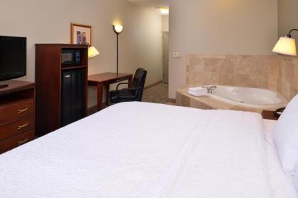 Hampton Inn Litchfield - image 10