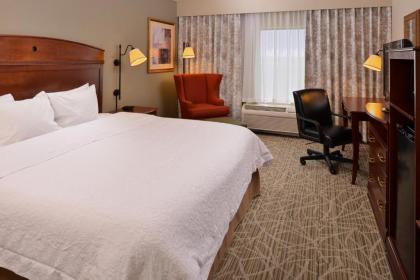 Hampton Inn Litchfield - image 3