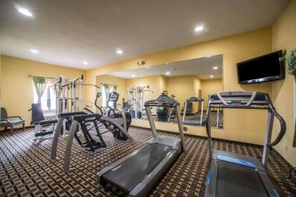 Quality Inn Litchfield Route 66 - image 12