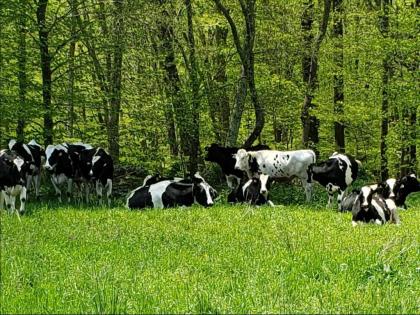 Tentrr Signature Site - Meadow Ridge Farm Meadow - image 14