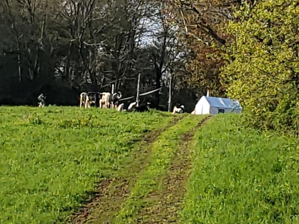Tentrr Signature Site - Meadow Ridge Farm Meadow - image 5