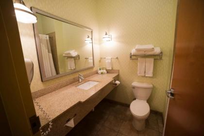 Holiday Inn Express Hotel & Suites Atlanta East - Lithonia an IHG Hotel - image 15