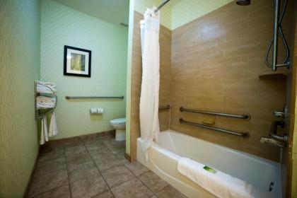 Holiday Inn Express Hotel & Suites Atlanta East - Lithonia an IHG Hotel - image 8