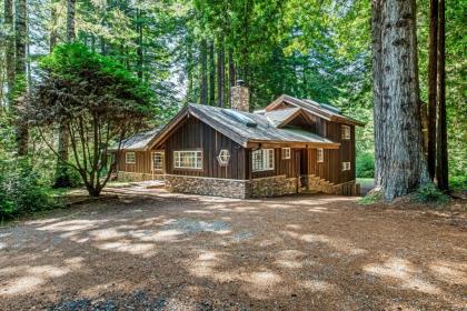 Little River Redwoods - image 4