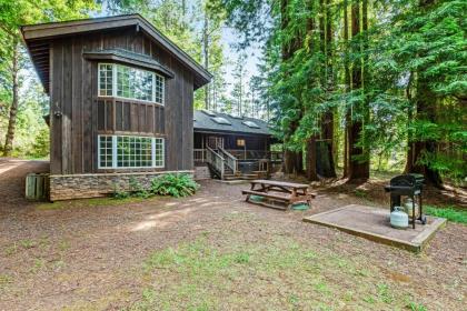 Little River Redwoods - image 5