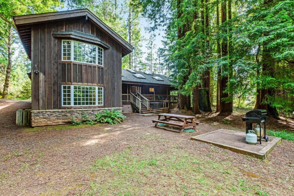 Little River Redwoods - image 5