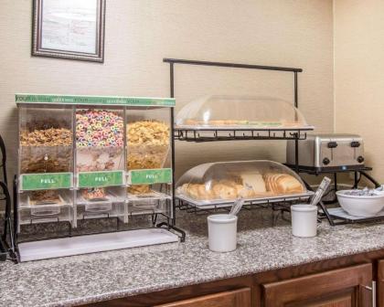 Comfort Inn Livingston - image 10