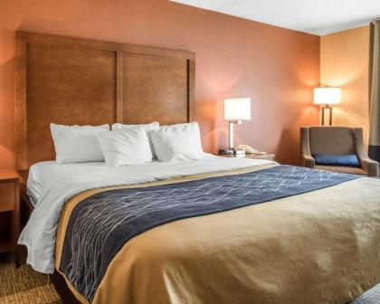 Comfort Inn Livingston - image 11