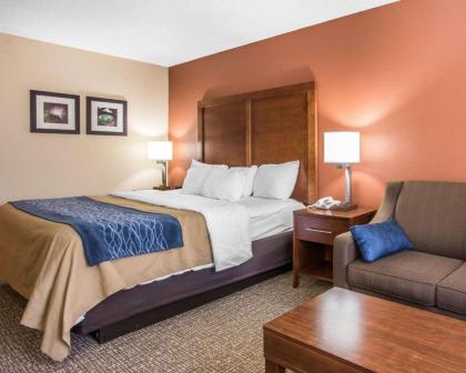 Comfort Inn Livingston - image 12