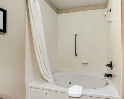Comfort Inn Livingston - image 13
