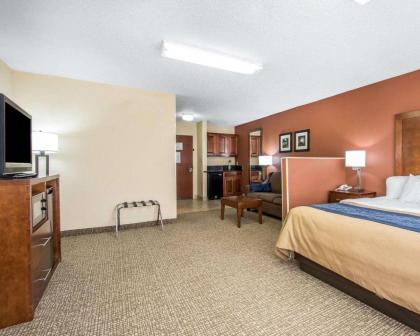 Comfort Inn Livingston - image 14