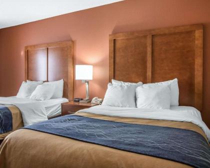 Comfort Inn Livingston - image 5
