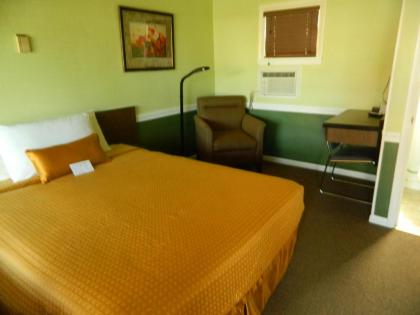 Country Motor Inn - image 12
