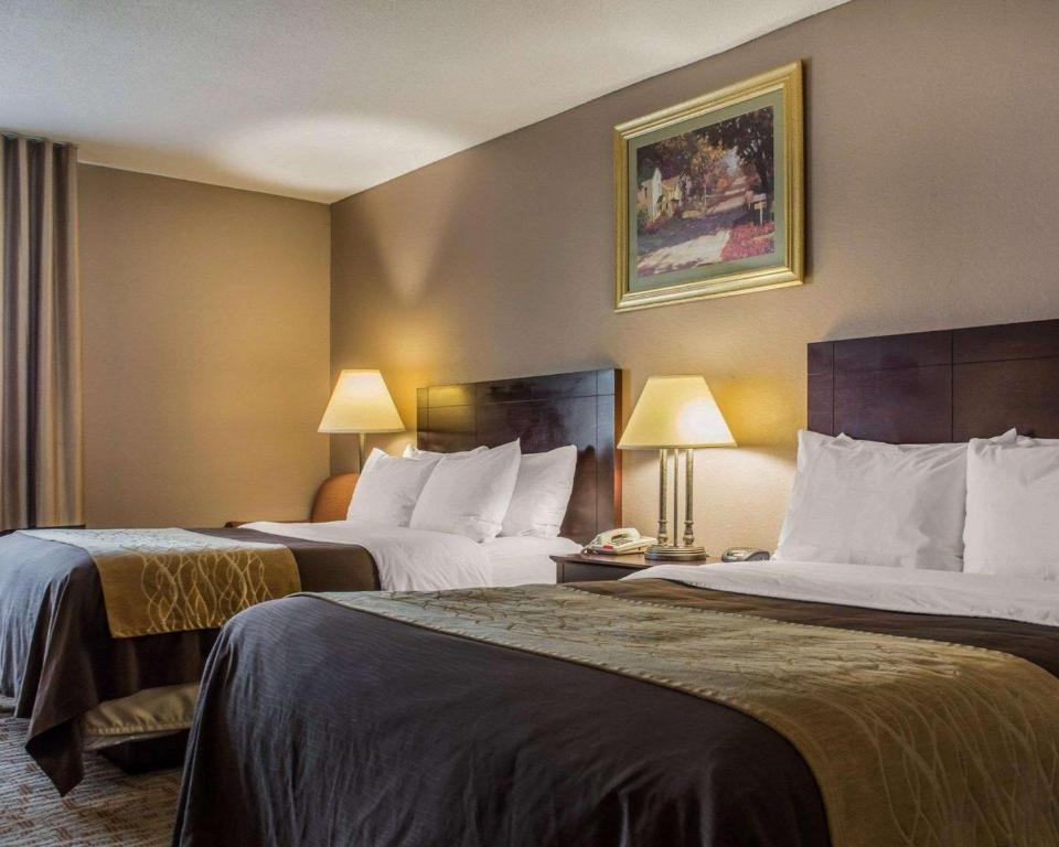 Quality Inn Lockport - image 5