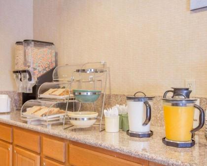 Econo Lodge Inn & Suites Lodi - Wine Country Area - image 11