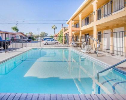 Econo Lodge Inn & Suites Lodi - Wine Country Area - image 8