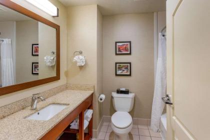 Comfort Inn & Suites Logan Near University - image 10