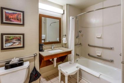 Comfort Inn & Suites Logan Near University - image 13