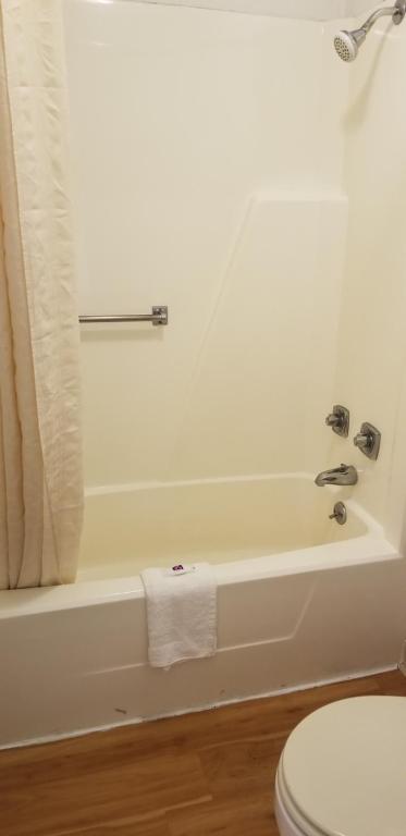 FairBridge Inn Express London - image 5
