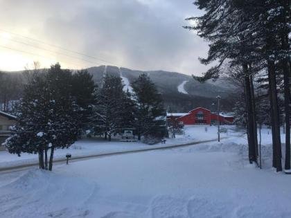 The Upper Pass Lodge - image 3