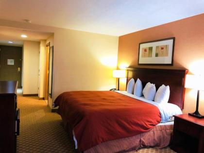 Queens County Inn and Suites - image 8