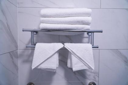 Lotus BLU Inn and Suites - image 15