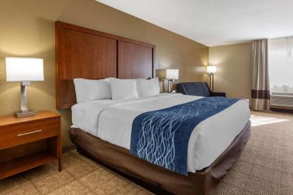Comfort Inn & Suites Lordsburg I-10 - image 6