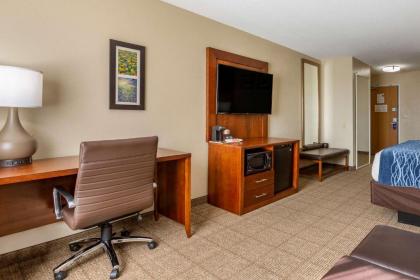 Comfort Inn & Suites Lordsburg I-10 - image 8