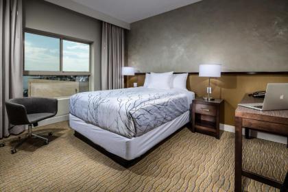 Hotel Aventura - image 4