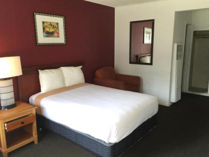 Holiday Lodge - image 3