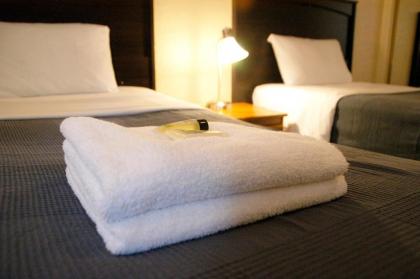 Little Tokyo Hotel - image 4