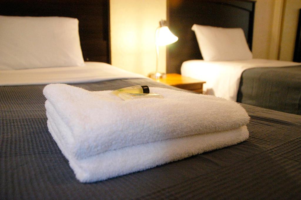 Little Tokyo Hotel - image 4