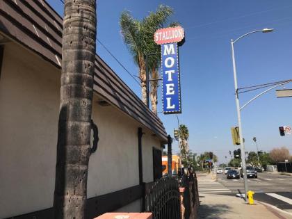 Stallion motel