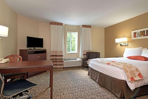 MainStay Suites Louisville Jeffersontown - image 4