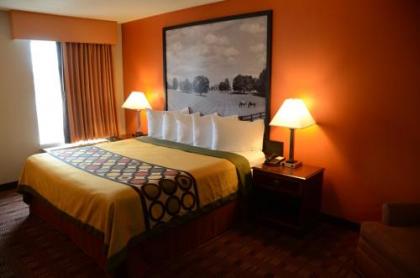 Super 8 by Wyndham Louisville/Expo Center - image 3