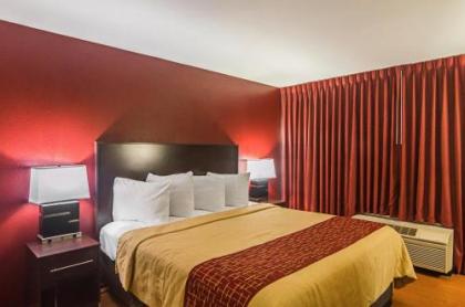 Red Roof Inn & Conference Center Lubbock - image 2