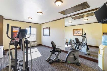 Quality Inn & Suites Lubbock - image 3