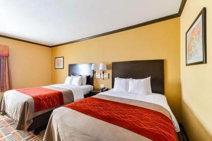 Quality Inn & Suites Lubbock - image 5