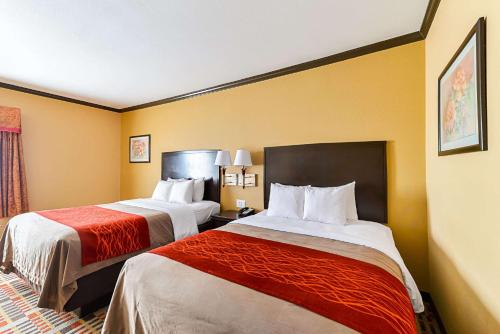 Quality Inn & Suites Lubbock - image 5