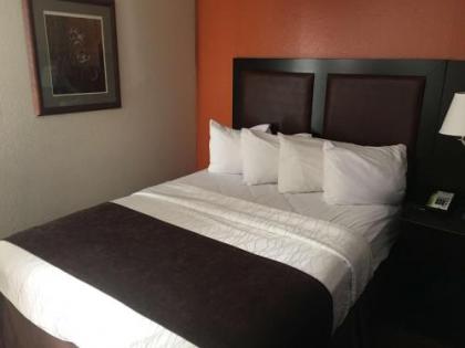 Best Western Plus Lubbock Windsor Inn - image 2