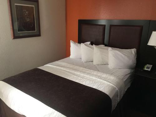 Best Western Plus Lubbock Windsor Inn - image 2