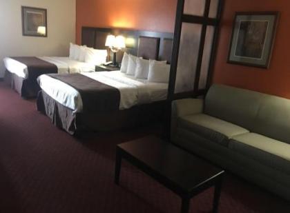 Best Western Plus Lubbock Windsor Inn - image 3