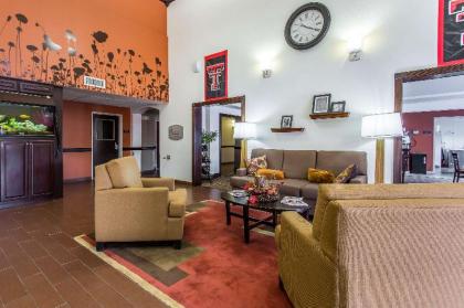 Sleep Inn & Suites - image 3