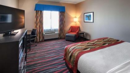 Best Western Plus Tech Medical Center Inn - image 2