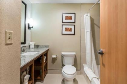 Comfort Suites - University - image 2